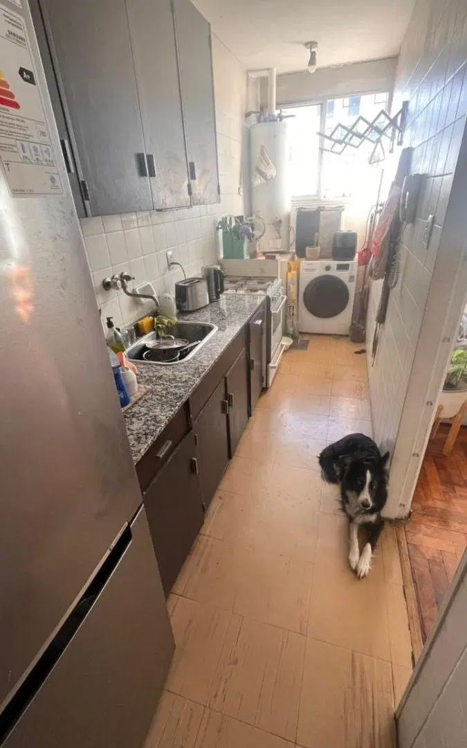 Departamento de 2 dormitorios en alquiler en Quinta Sección 2