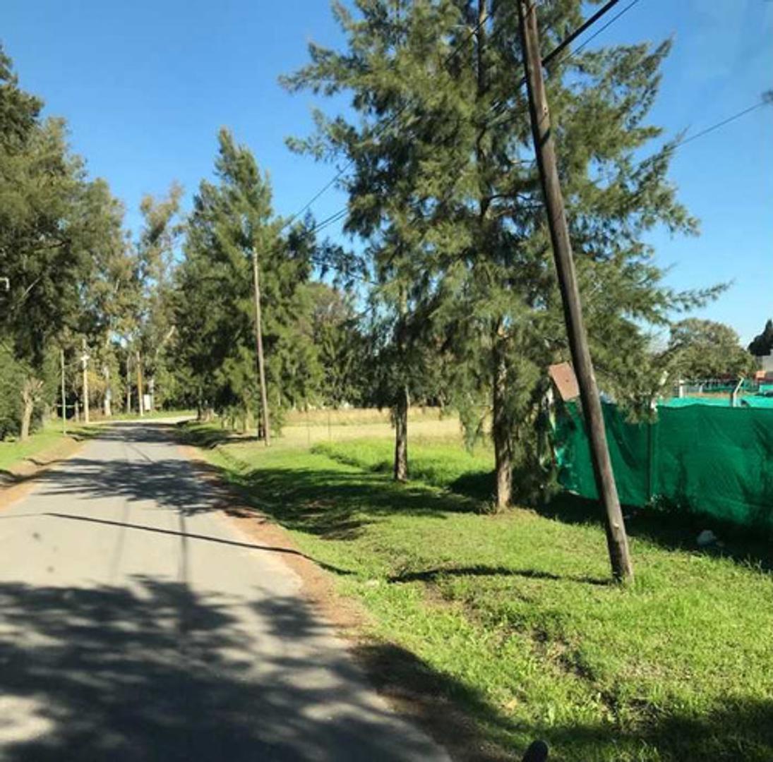 Foto de Loe a la venta en El Pato, imagen 4
