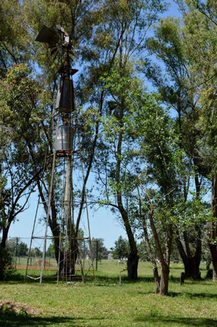 Foto de Lotes a la venta en Área 60, imagen 5