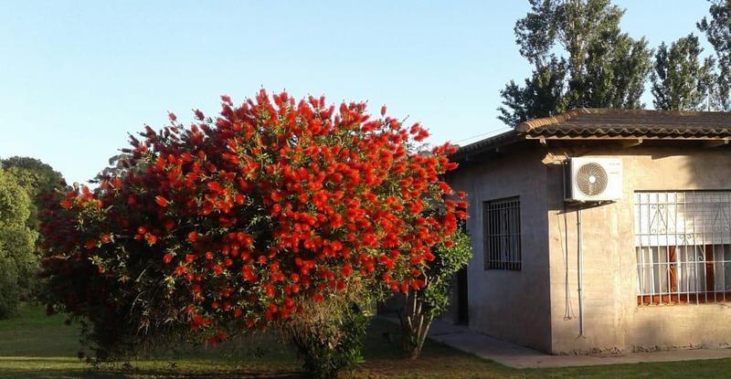 Casa quinta sobre lote de 10.000m2 en Necochea