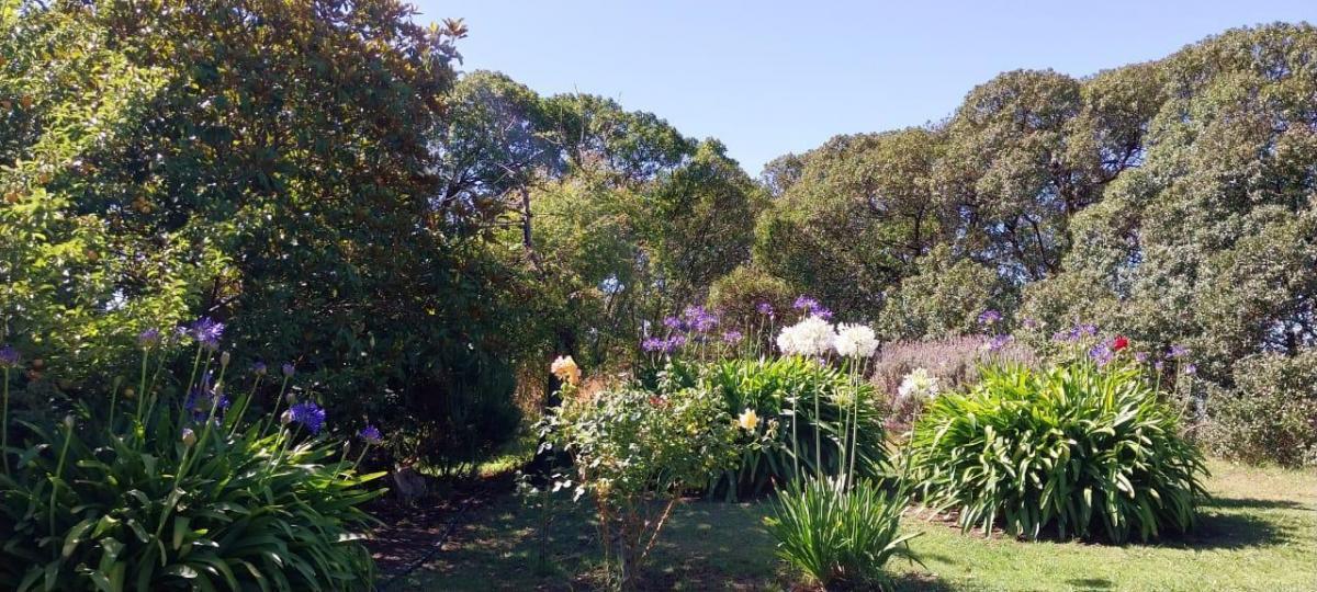 Casa Quinta Sobre Lote de 10.000 m² en Necochea 3