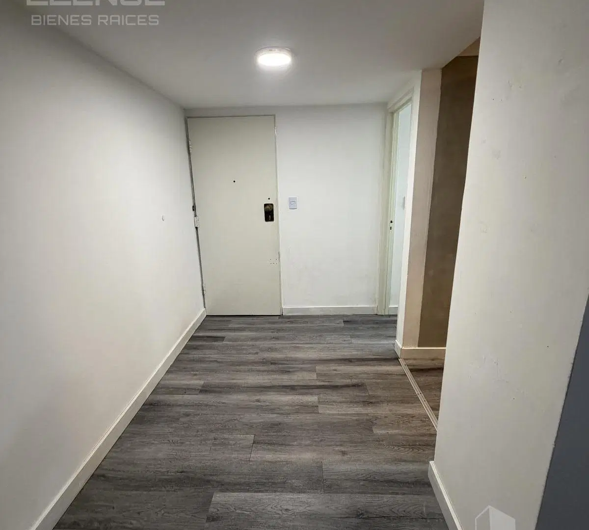 Departamento 3 ambientes reciclado con  balcón en alquiler - Quilmes centro 4