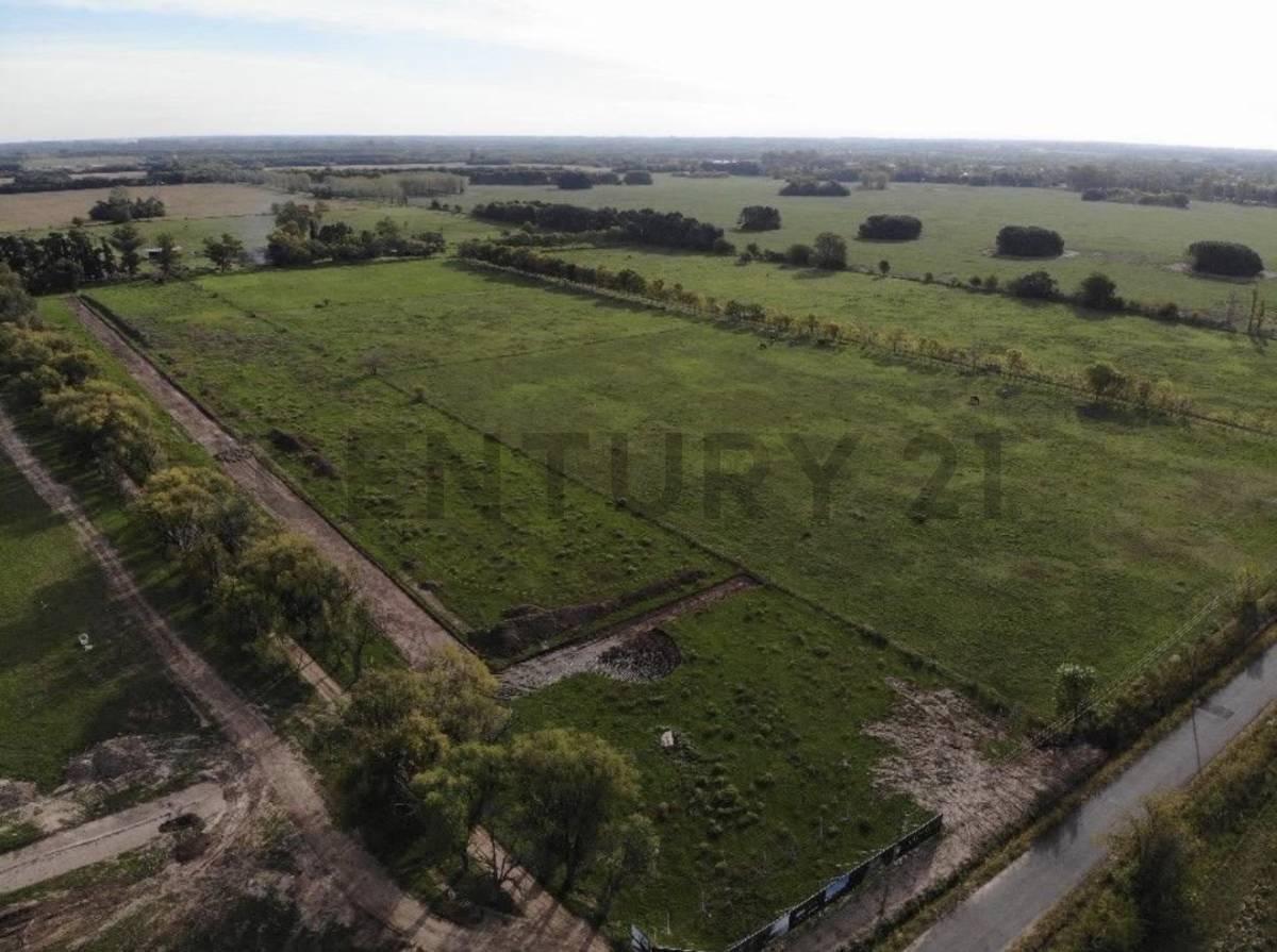 Foto de VENTA LOTE BARRIO CERRADO NATIVO ECUESTRE PILAR, imagen 3