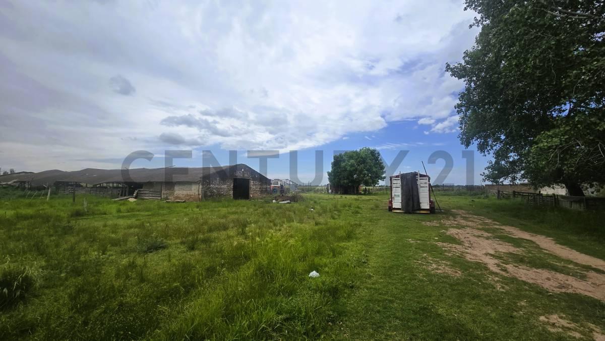 Foto de Venta Campo con mejoras en Ruta 24 y Ruta 6 General Rodriguez, imagen 3
