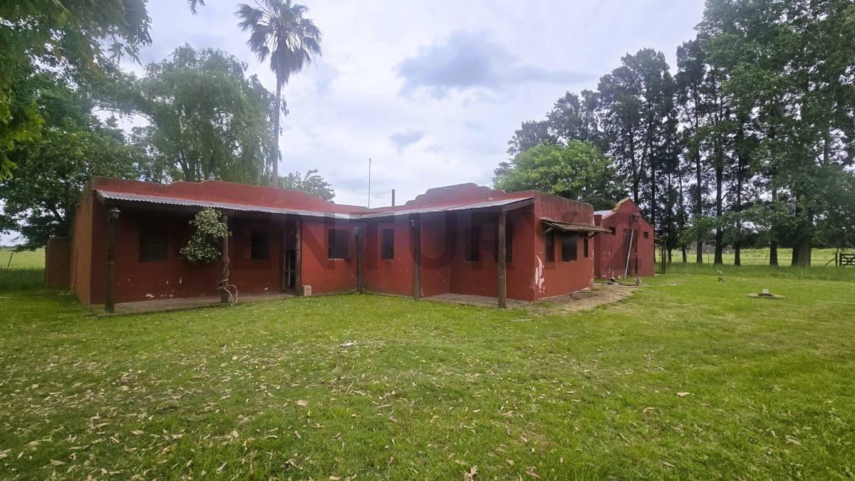 Foto de Venta Campo con mejoras en Ruta 24 y Ruta 6 General Rodriguez, imagen 1
