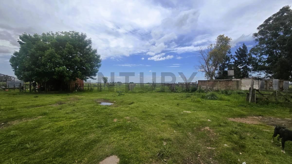 Foto de Venta Campo con mejoras en Ruta 24 y Ruta 6 General Rodriguez, imagen 2