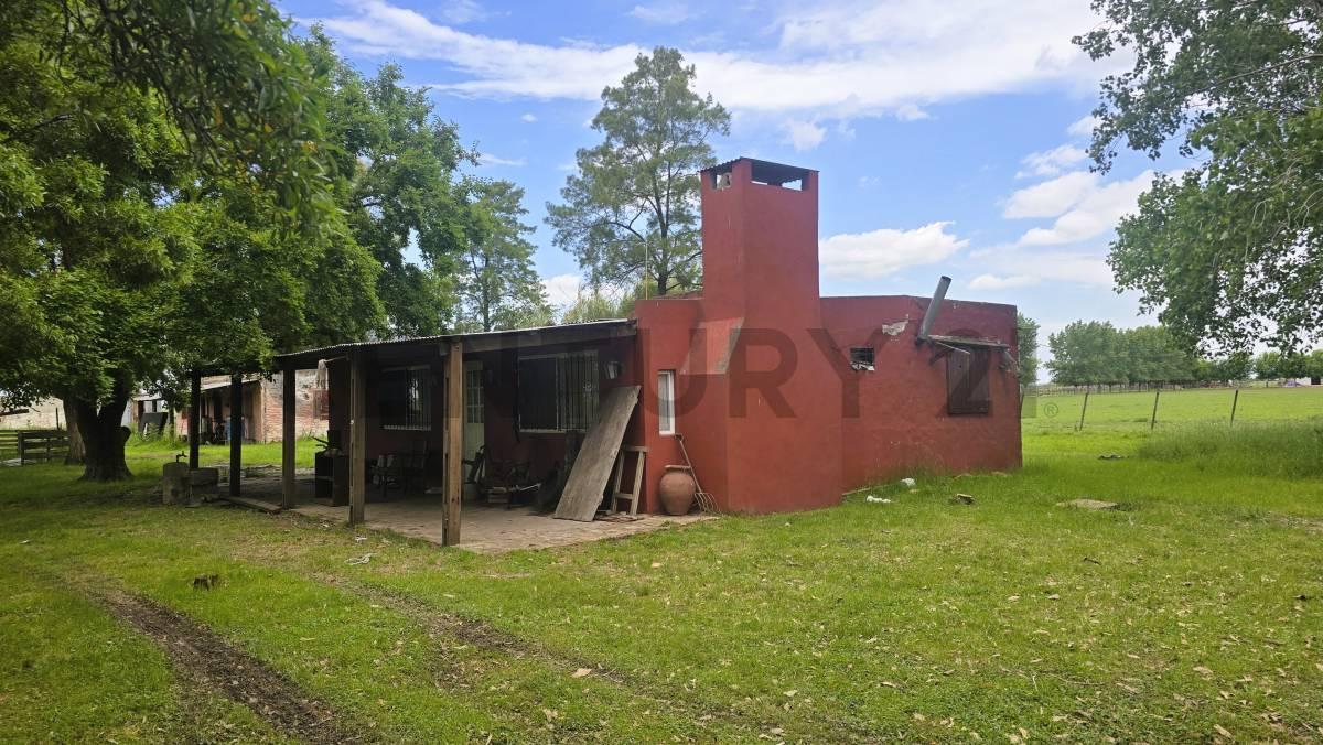 Foto de Venta Campo con mejoras en Ruta 24 y Ruta 6 General Rodriguez, imagen 5