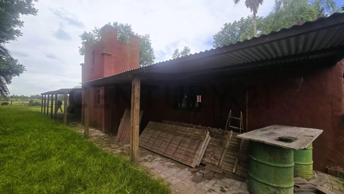 Foto de Venta Campo con mejoras en Ruta 24 y Ruta 6 General Rodriguez, imagen 4