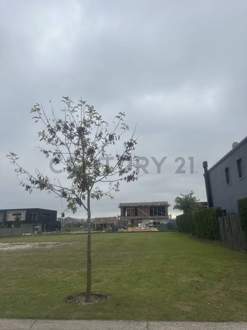 Foto de Lote en venta con amarra en Vila Marina1, imagen 1