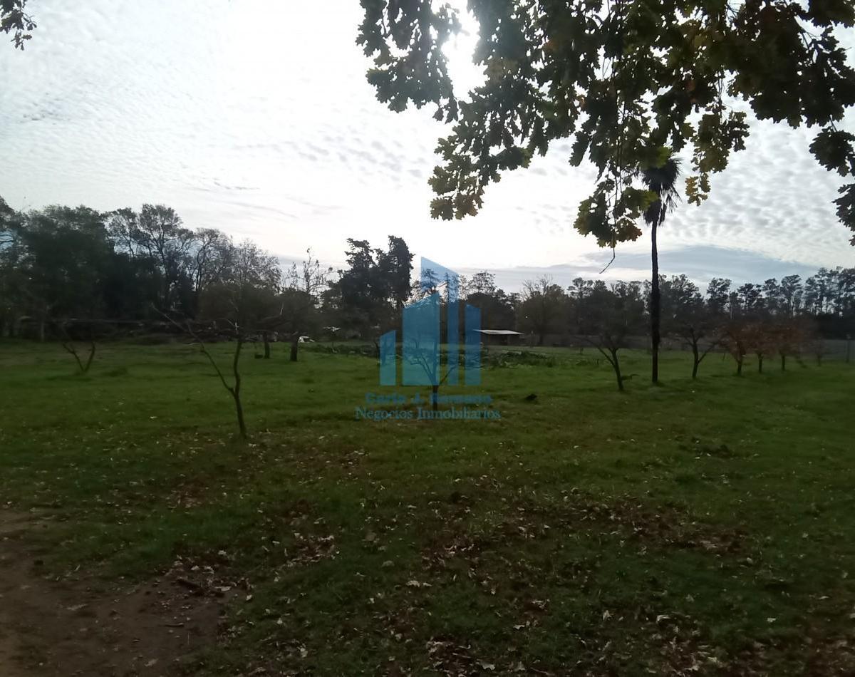 VENTA HECTAREA EN GENERAL RODRIGUEZ