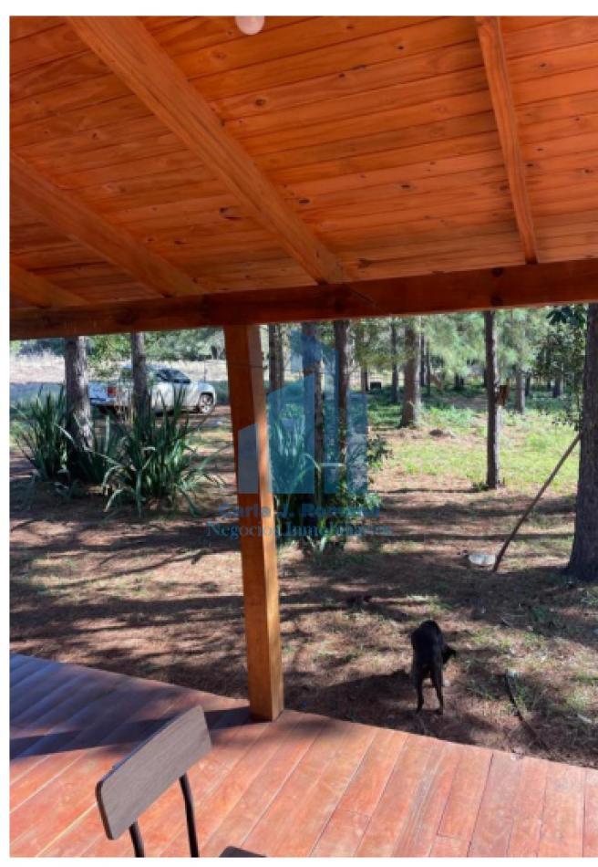 Foto de VENTA CHACRA 52 HECTAREAS EN EL DORADO MISIONES, imagen 2