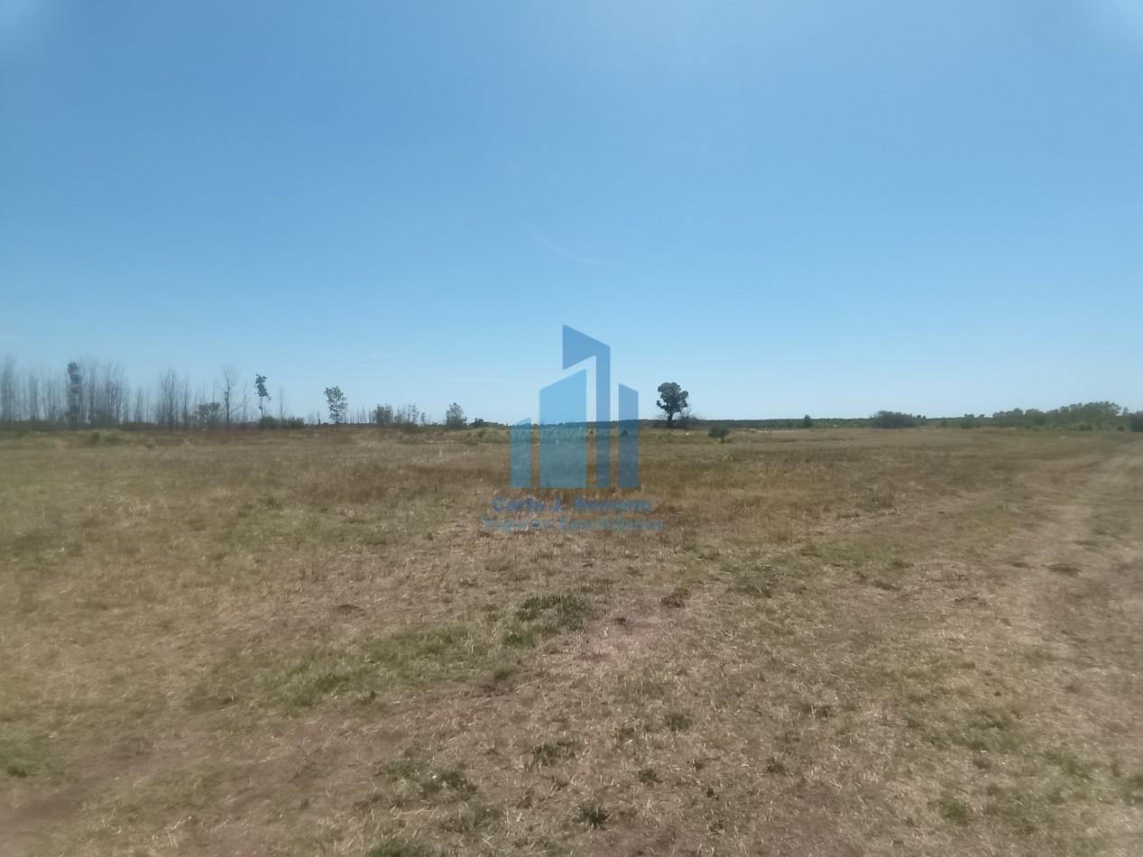 Foto de VENTA LOTE EN BARRIO CERRADO EN MARCOS PAZ, imagen 1