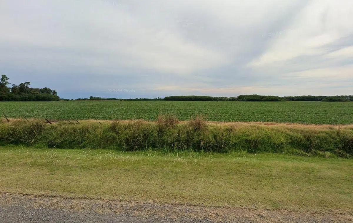 CAMPO EN AYARZA 2