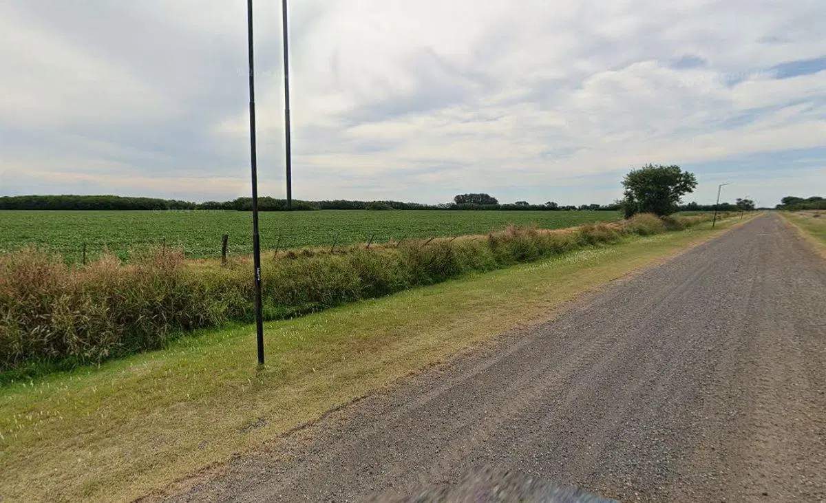 CAMPO EN AYARZA 5