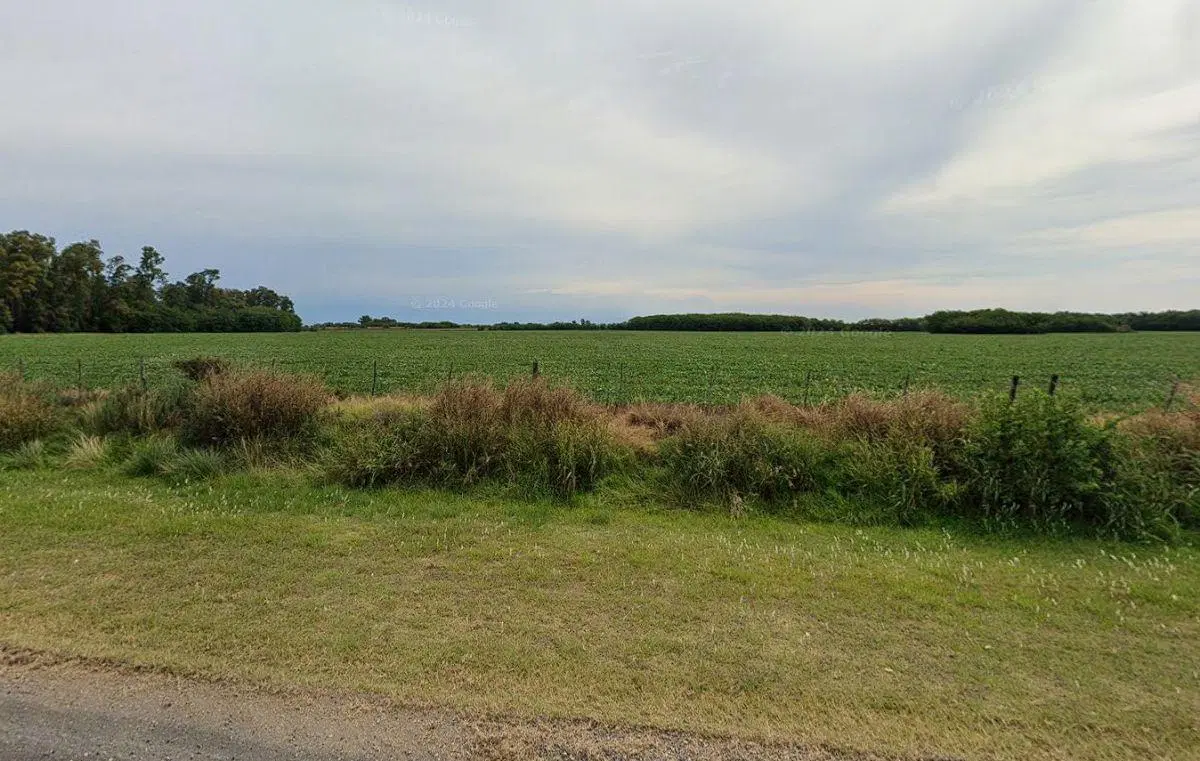 CAMPO EN AYARZA 3