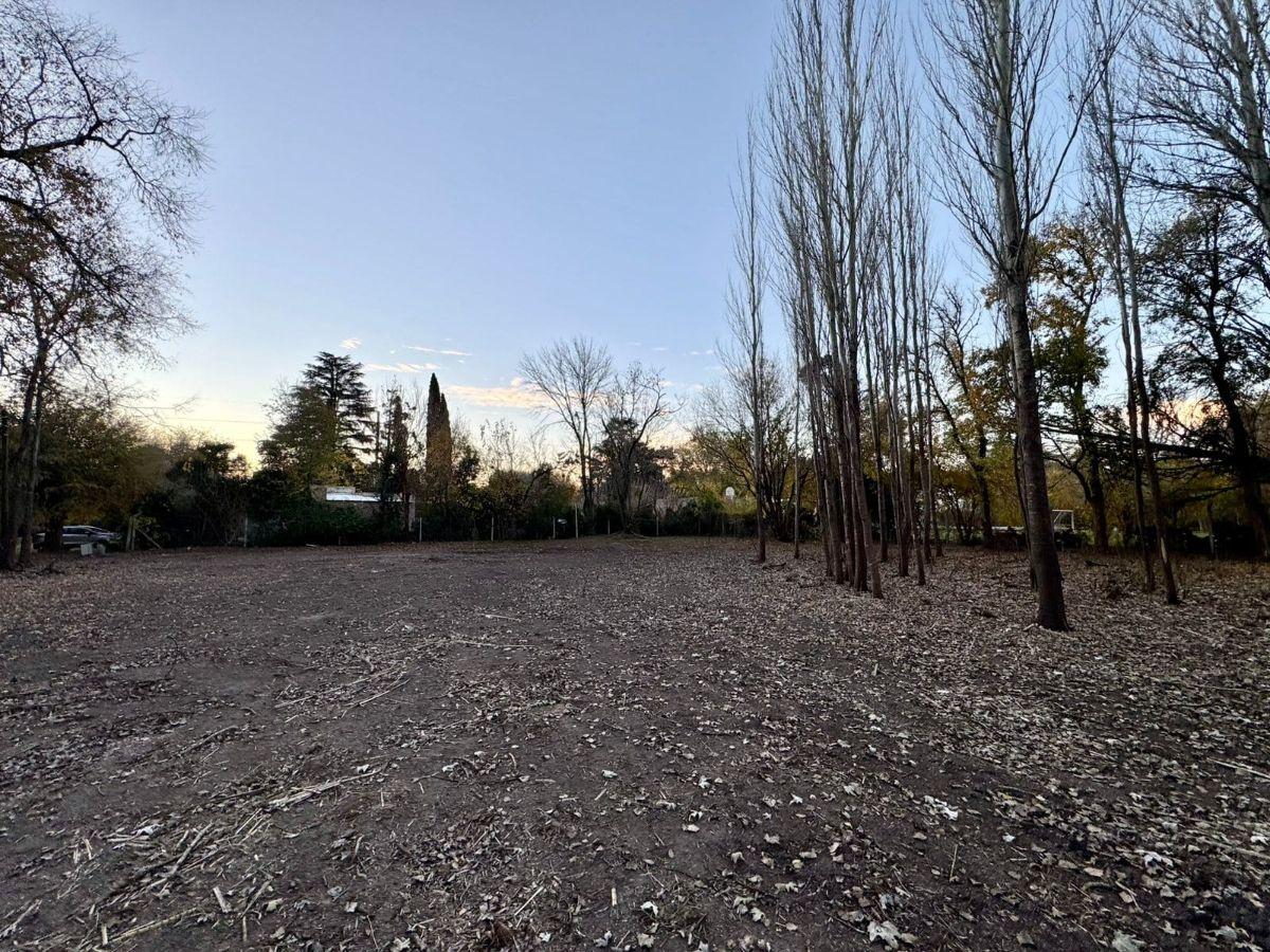 Foto de TERRENO BARRIO SAN FRANCISCO, BORIS ELKIN 436 - CHIVILCOY, imagen 3