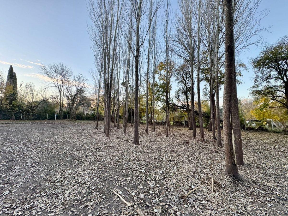 Foto de TERRENO BARRIO SAN FRANCISCO, BORIS ELKIN 436 - CHIVILCOY, imagen 4