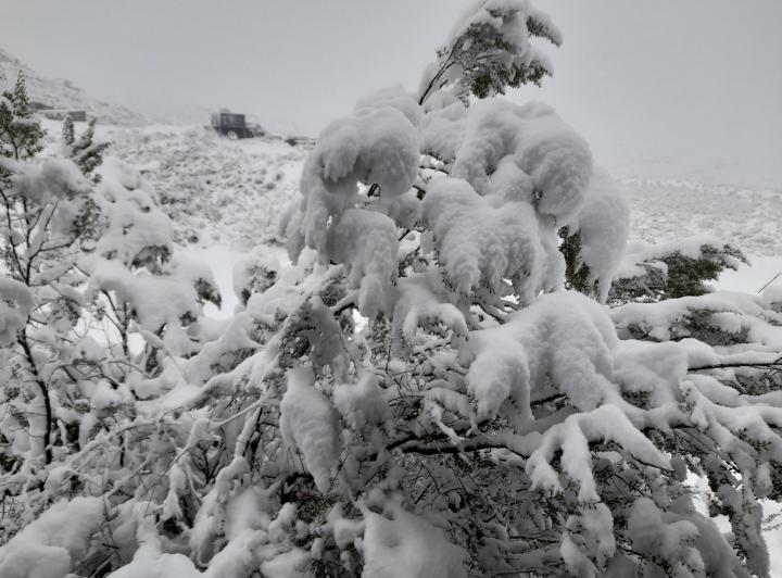 Alquiler temporario Cabañas de Montaña 4