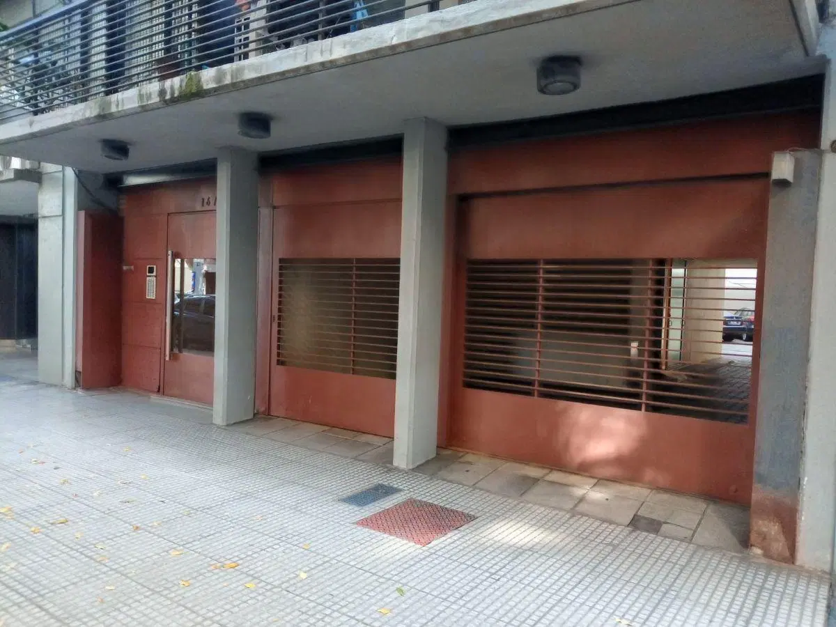 APTO PROFESIONAL - NUÑEZ 2
