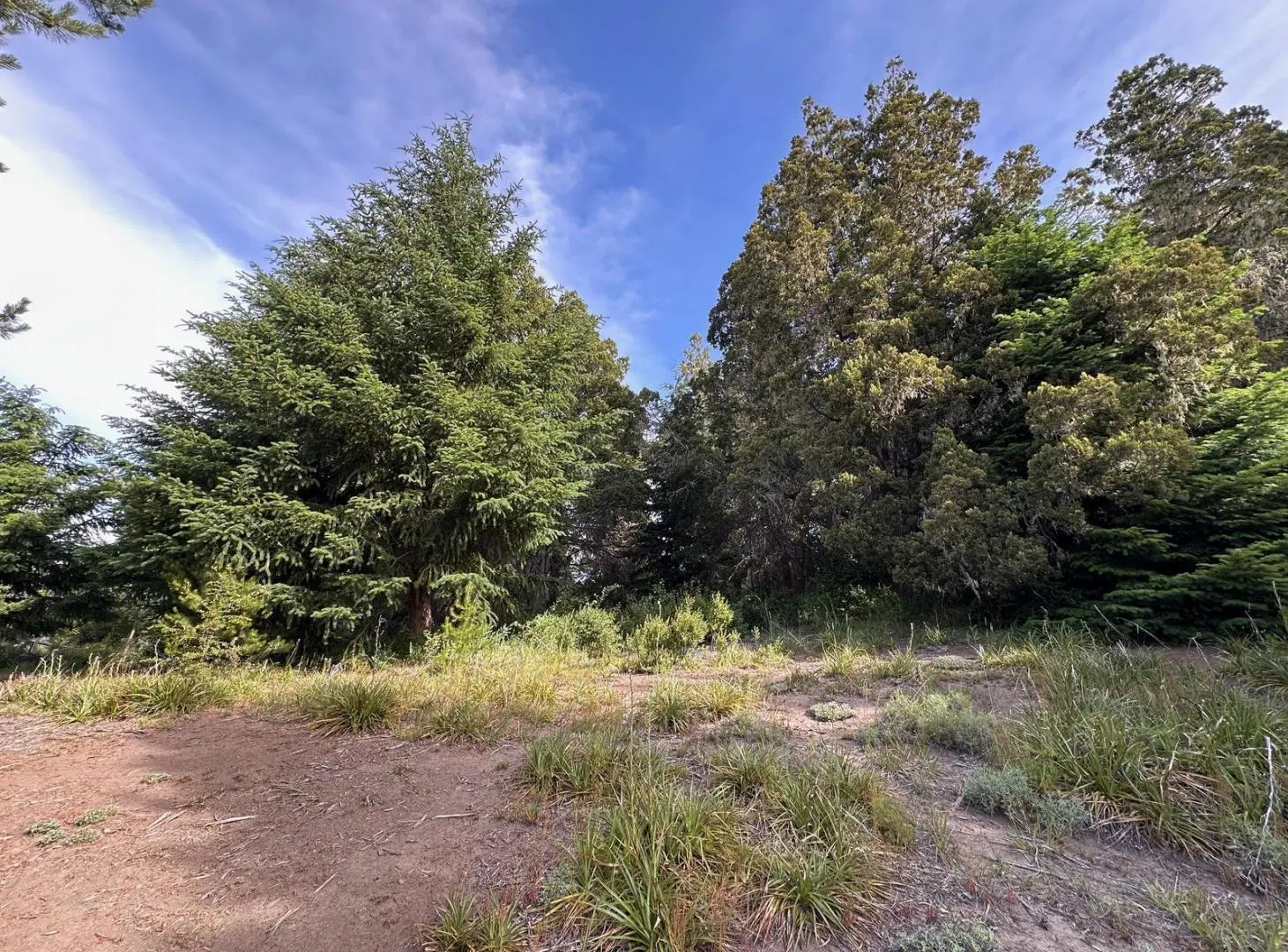 Excelente lote de 2550 m2 - La Reserva Baja 4