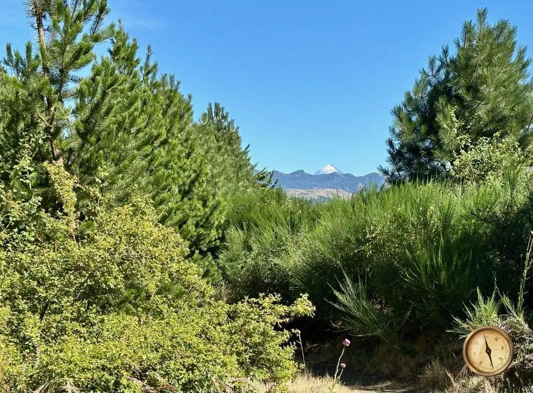 Lote de 888 m2 en El Remanso 4