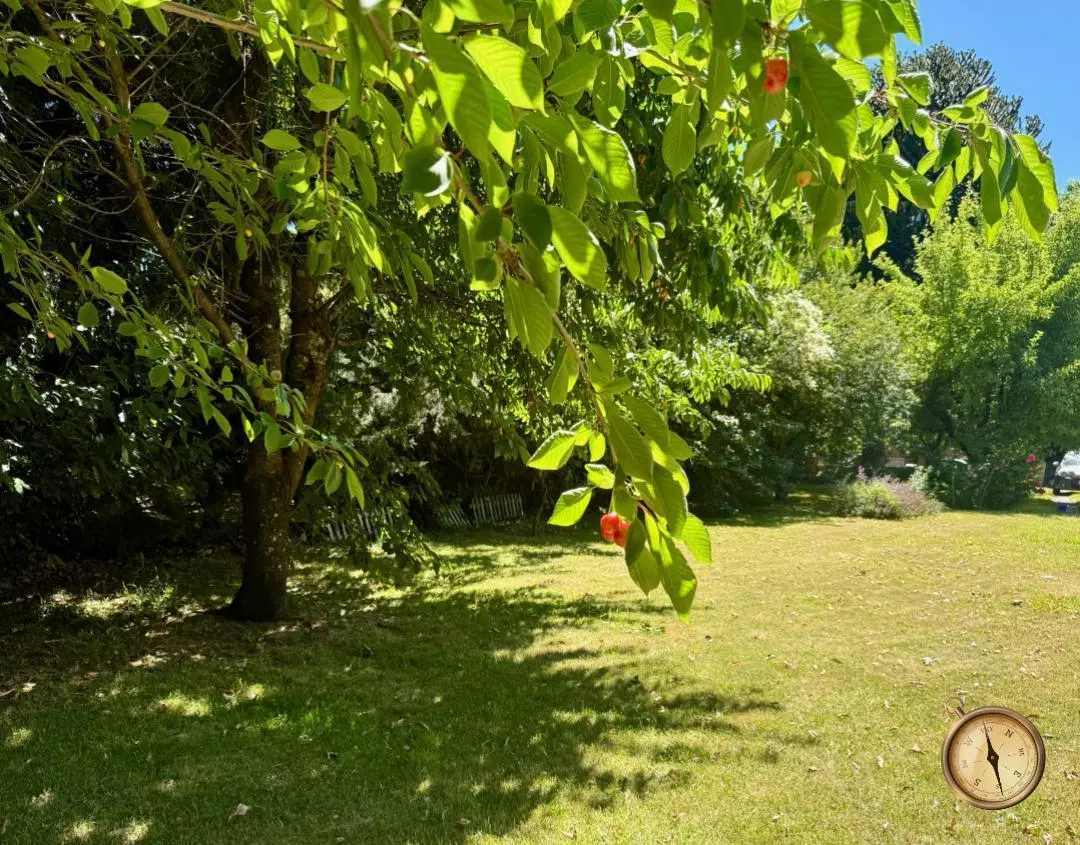 Excelente lote totalmente plano - Rivadavia 1100, Centro, San Martin de los Andes - 500 m2 1