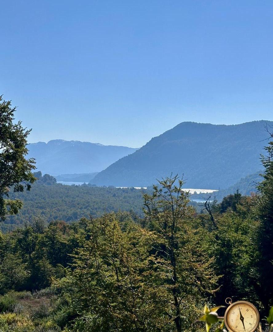 Foto de Excelente propiedad con vistas al lago - 415 m2 en lote de 10.000 m2, imagen 5