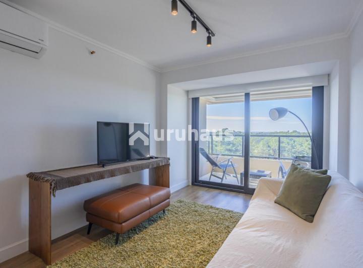 Foto de ALQUILER APARTAMENTO DOS DORMITORIOS PUNTA DEL ESTE, imagen 4