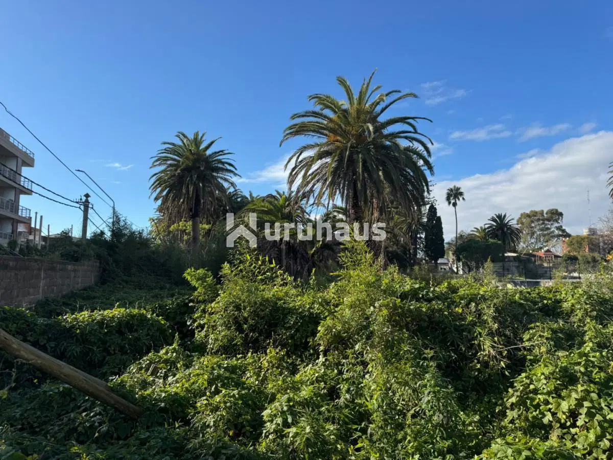 VENTA TERRENO APTO EDIFICIO MALDONADO 5