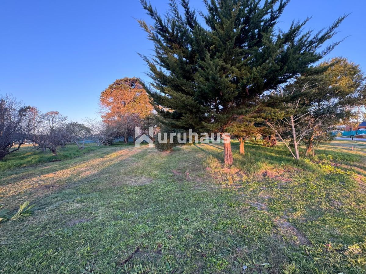 Foto de VENTA TERRENO LOTE LA CAÑADA BARRIO CERRADO, imagen 5