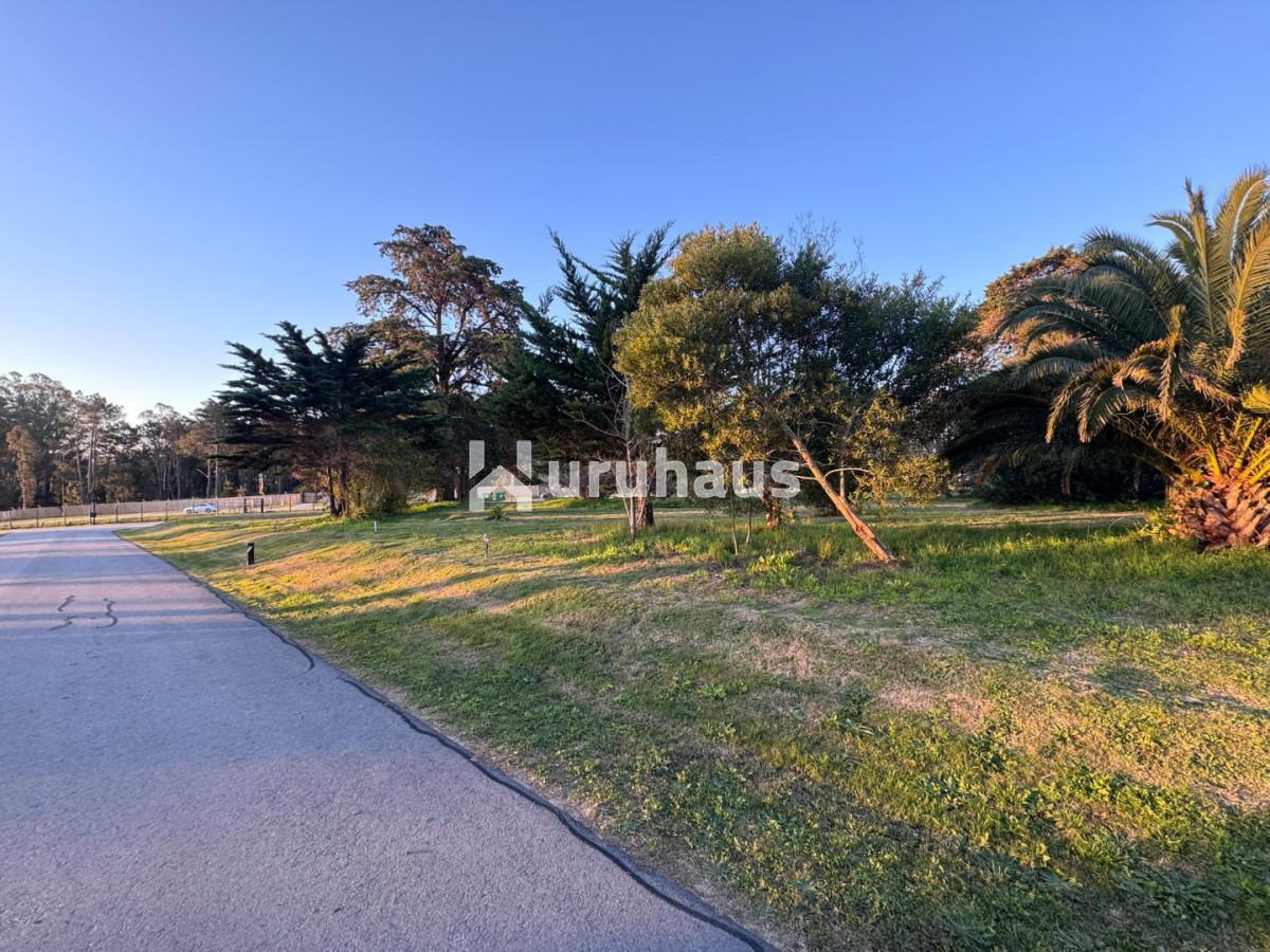 Foto de VENTA TERRENO LOTE LA CAÑADA BARRIO CERRADO, imagen 4