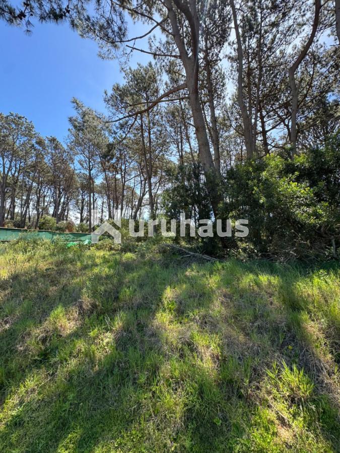 Foto de VENTA LOTE RESERVA MONTOYA LA BARRA, imagen 1