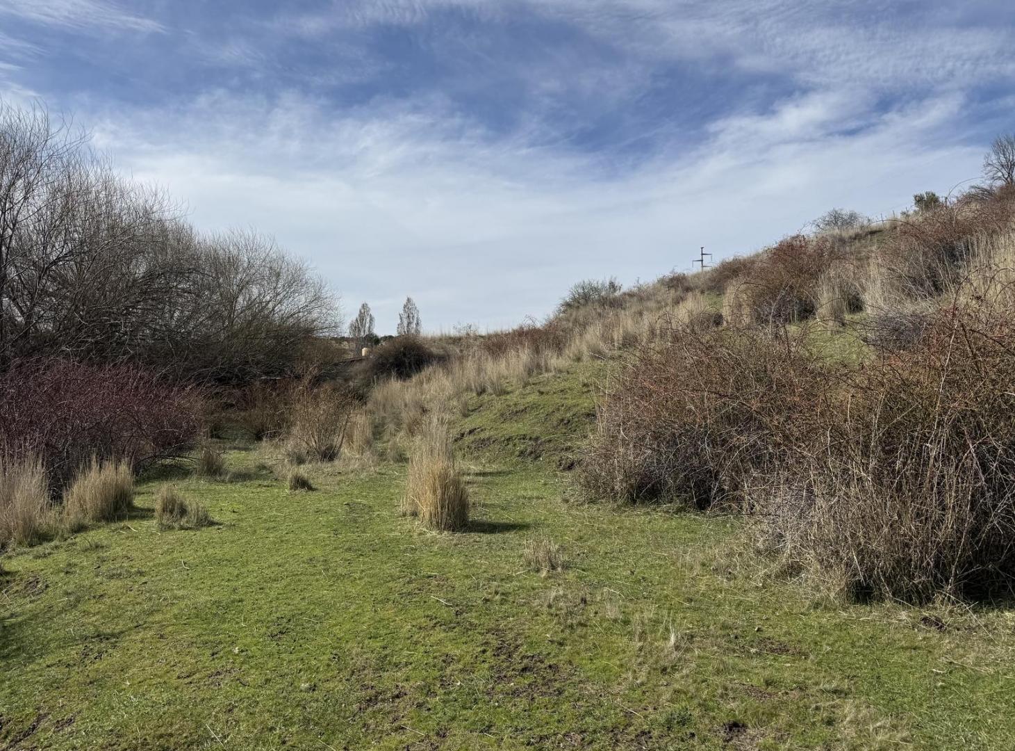 Foto de Terreno en Trevelin, imagen 4