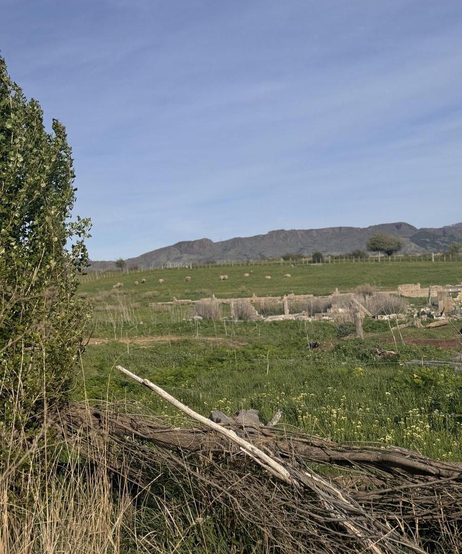 Foto de Terreno en Trevelin, imagen 4