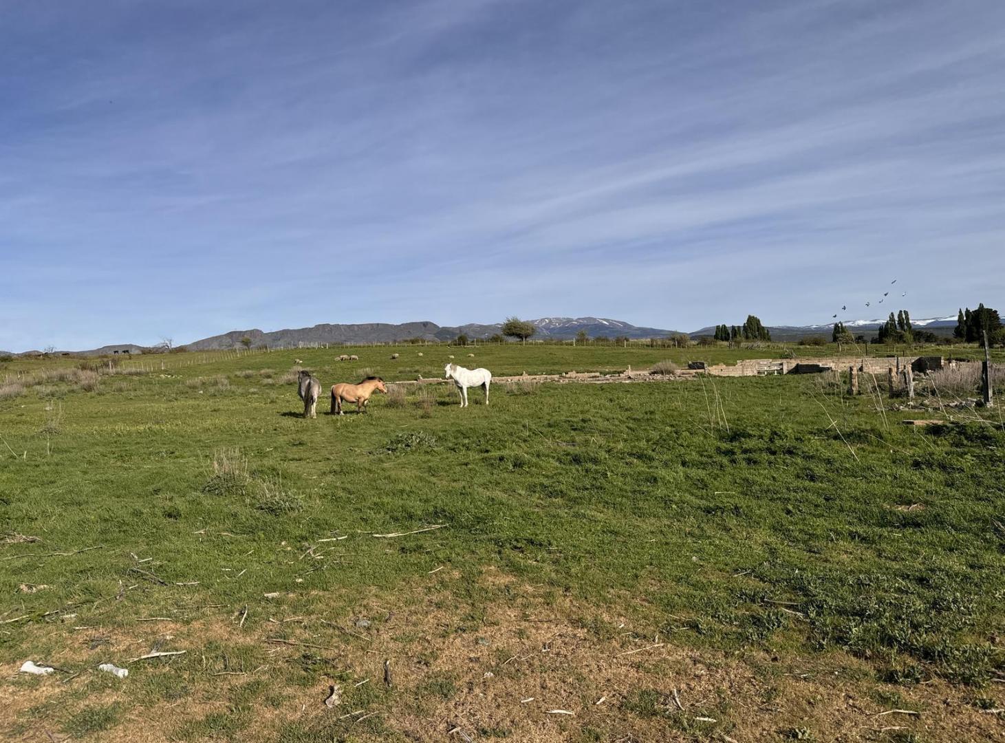 Foto de Terreno en Trevelin, imagen 5
