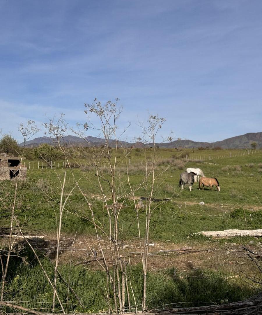 Foto de Terreno en Trevelin, imagen 3