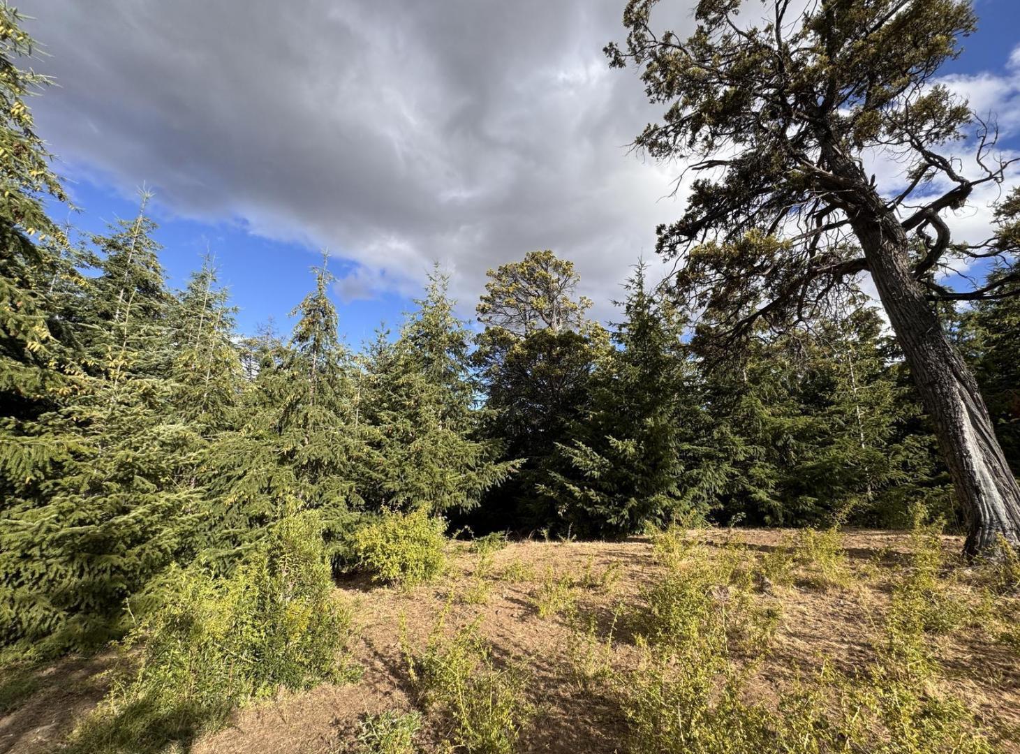 Foto de Terreno en Trevelin, imagen 1