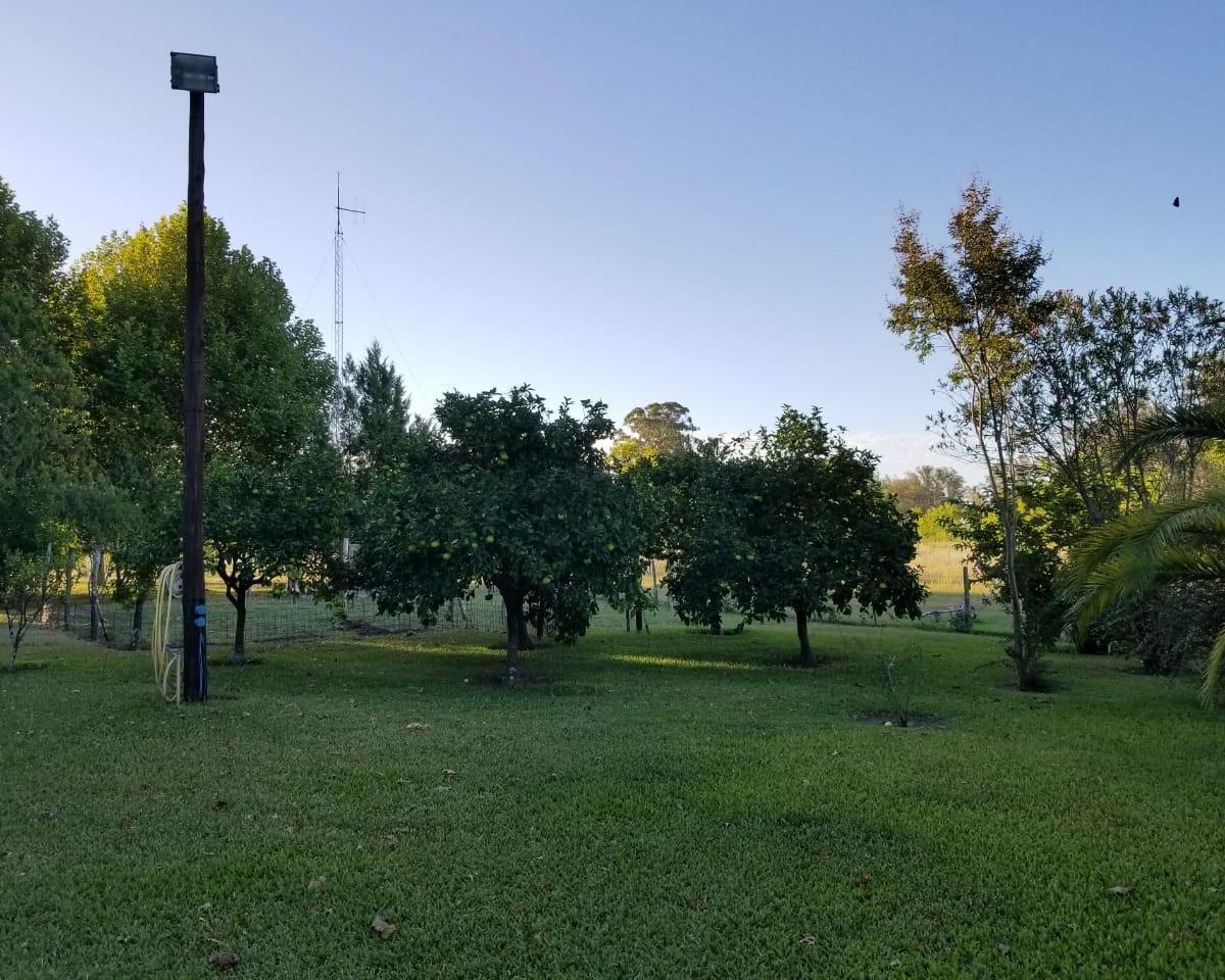 Campo 100 Has con Casco de 350 m² con Aguada Natural del Arroyo Tala 3