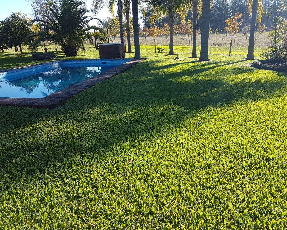 Campo 100 Has con Casco de 350 m² con Aguada Natural del Arroyo Tala 4