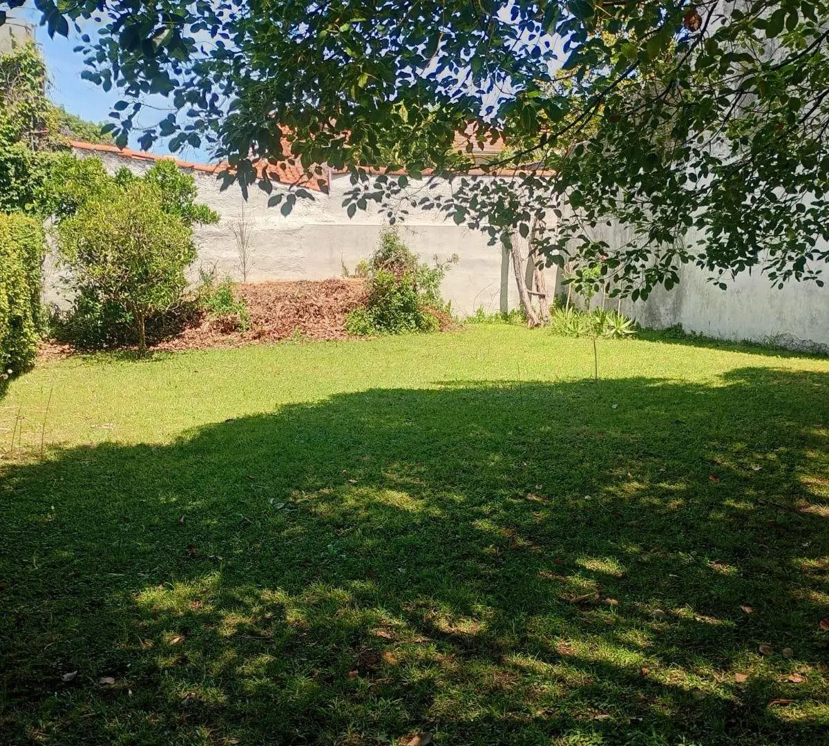 UNICO PH LOTE 10x47 m SIN EXPENSAS 3 AMB PB GARAGE 2 AUTOS , FONDO PARQUE PARRILLA 8