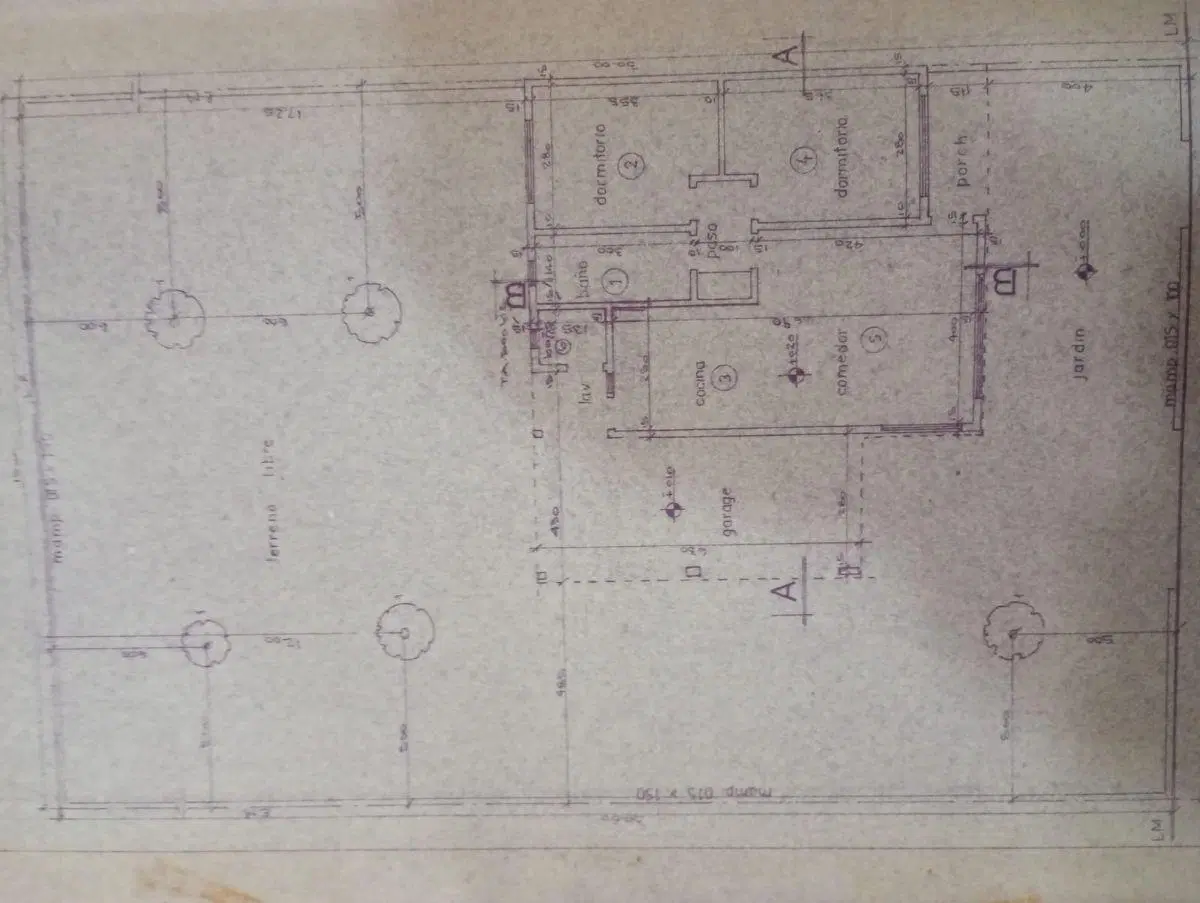 Plano 3