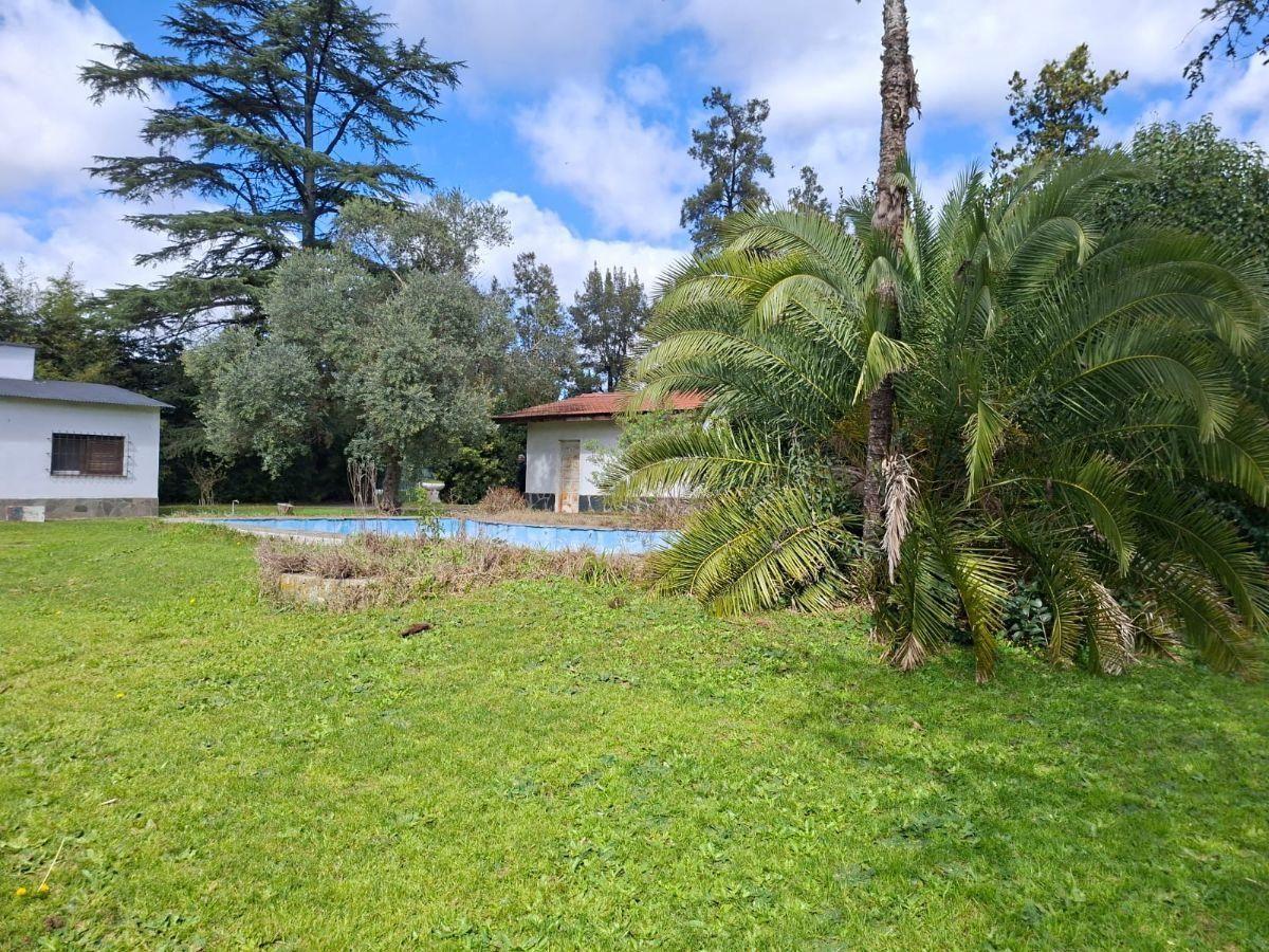 Foto de Lote 1190 m2 con quincho pileta parrilla garage 2 autos gran parque con, imagen 4