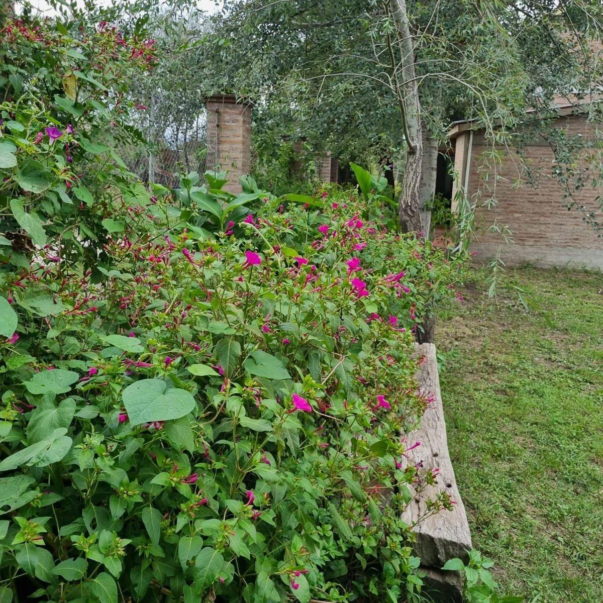 Casa en Estancia Vieja 5