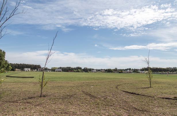 Lote en venta  en Arenas del Sur.