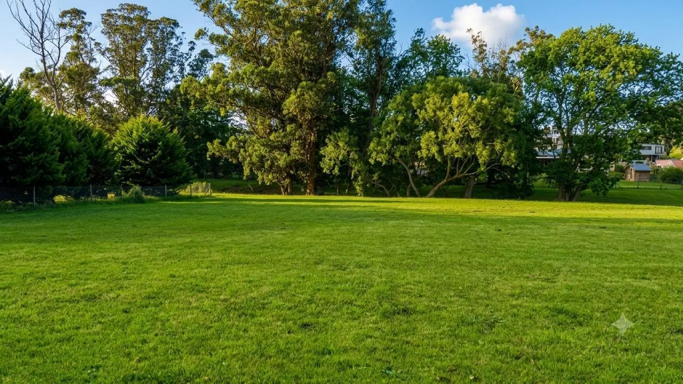 Terreno en venta en Barrancas de San Benito, Fondo de Arroyo. 2