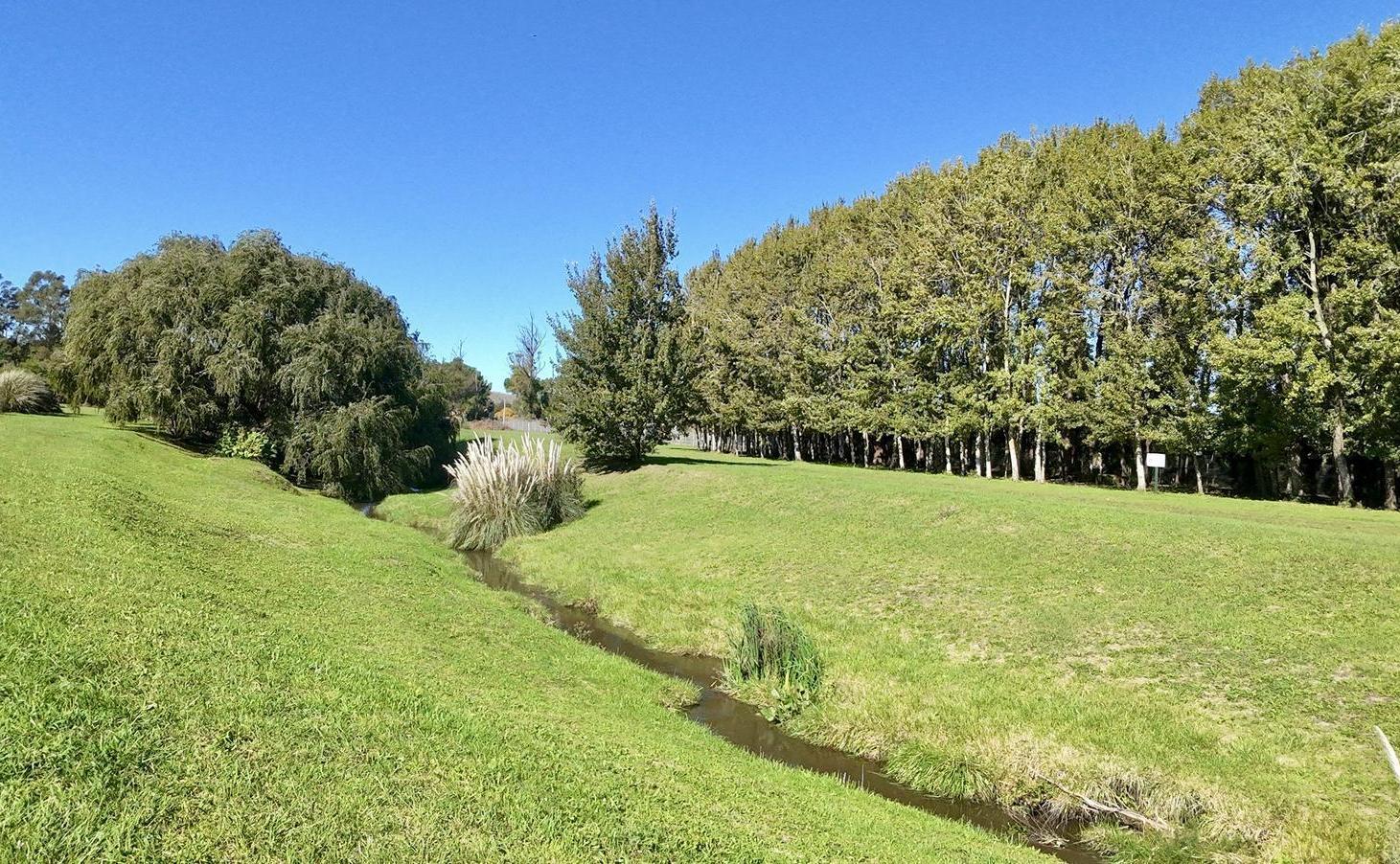 Foto de Terreno en Venta (Financia) en Barrancas de San Benito con fondo de, imagen 4