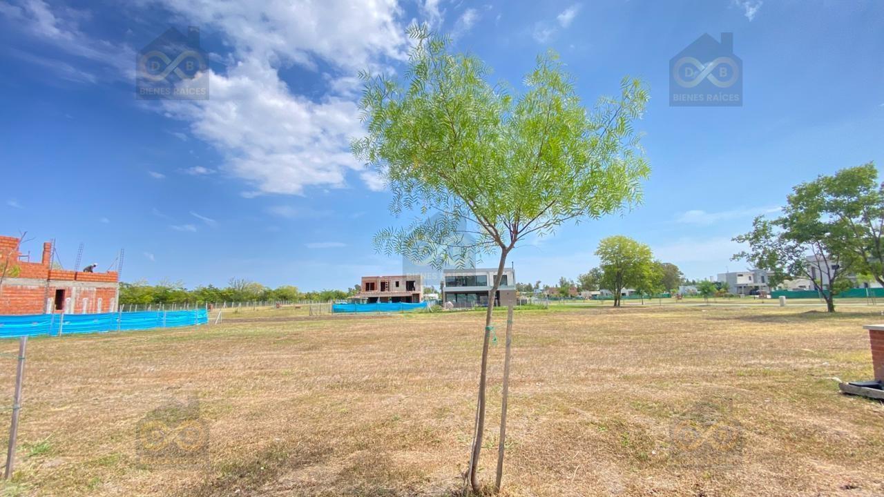 Terreno Lote en Venta en Santa Sofía, Pilar del Este, Pilar