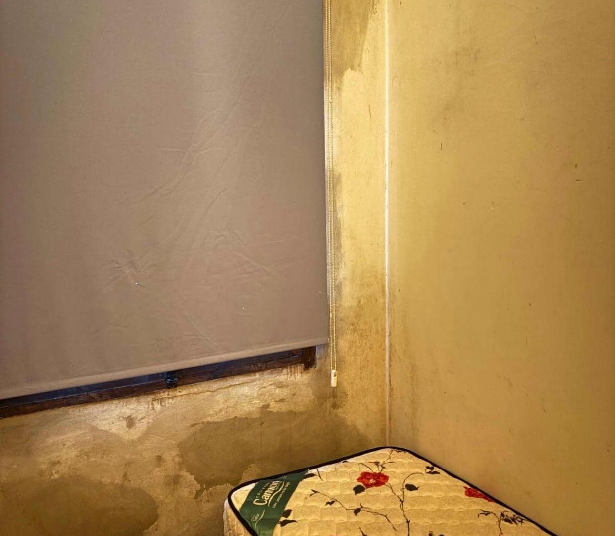 Foto de Quinta - Berisso, imagen 5