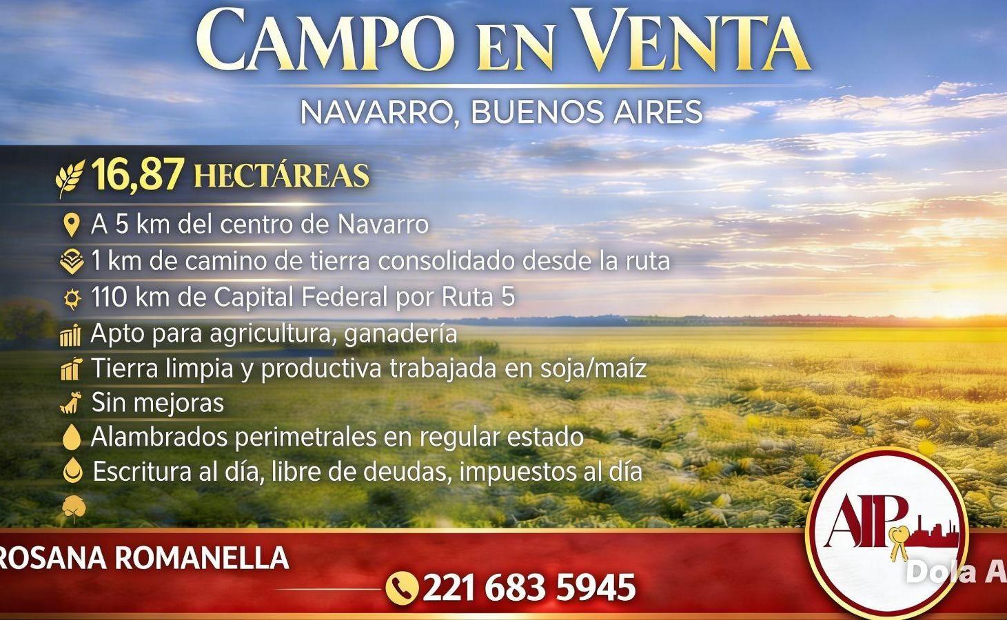 Foto de Campo - Navarro, imagen 4