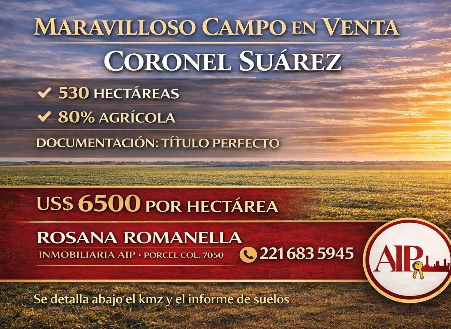 Campo - Coronel Suarez 5